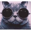 tapis de souris motif chat à lunettes noires