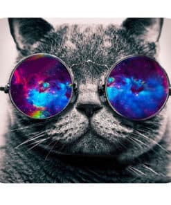 tapis de souris motif chat à lunettes qui regarde l'espace